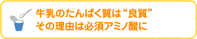 牛乳のたんぱく質は“良質” その理由は必須アミノ酸に