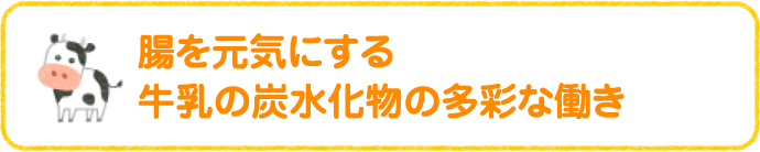 腸を元気にする牛乳の炭水化物の多彩な働き