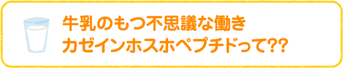 牛乳のもつ不思議な働き カゼインホスホペプチドって？？