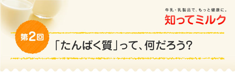 第2回『「たんぱく質」って、何だろう？』