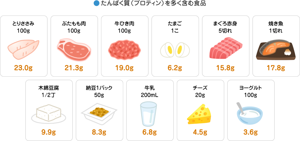 【表】たんぱく質（プロティン）を多く含む食品