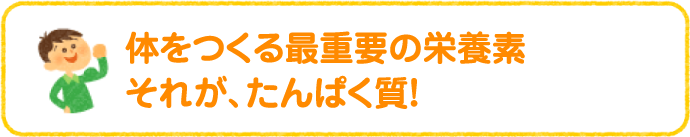 体をつくる最重要の栄養素。それが、たんぱく質！