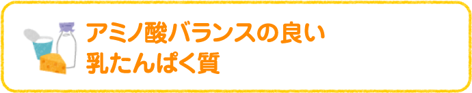 アミノ酸バランスの良い乳たんぱく質