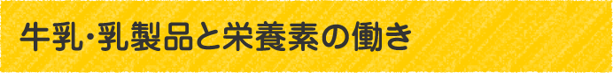 たんぱく質とは