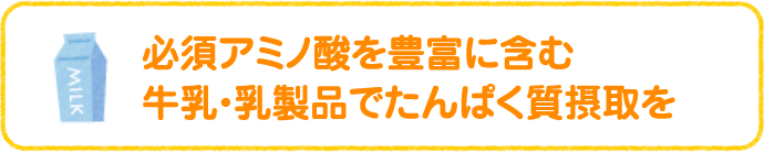 必須アミノ酸を豊富に含む牛乳・乳製品でたんぱく質摂取を