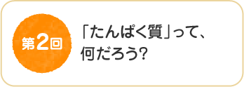 第２回　「たんぱく質」って、何だろう?