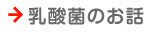 明治ヨーグルトライブラリー　→乳酸菌のお話