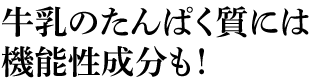 牛乳のたんぱく質には機能性成分も!