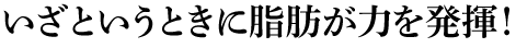いざというときに脂肪が力を発揮！