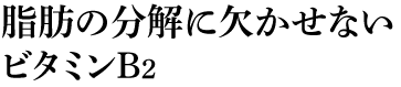 脂肪の分解に欠かせないビタミンB2