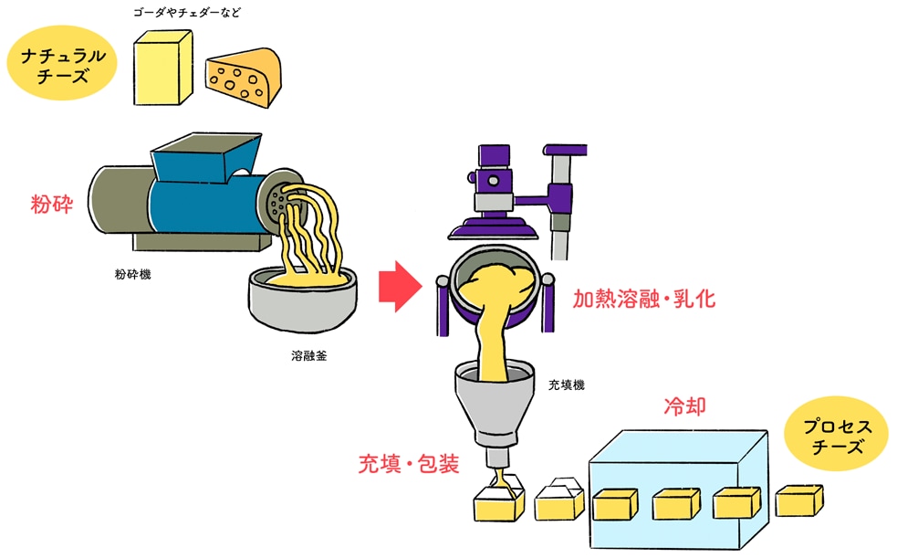 チーズの製造工程（プロセスチーズの場合）