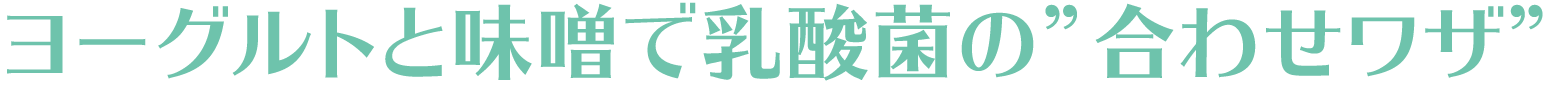 ヨーグルトと味噌で乳酸菌の”合わせワザ”