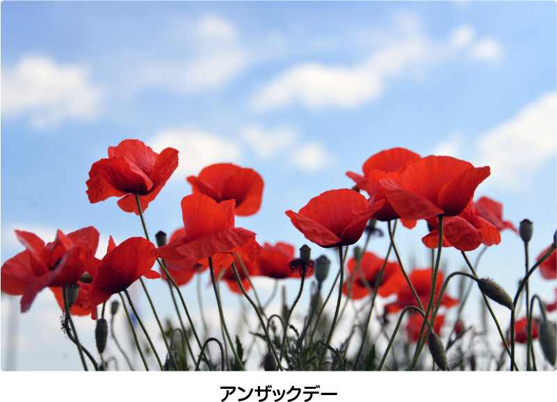 アンザックデー