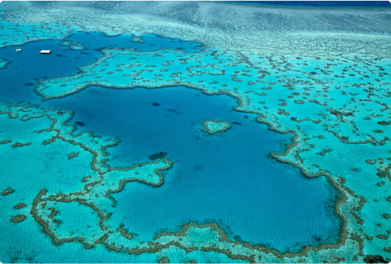 グレート・バリア・リーフ