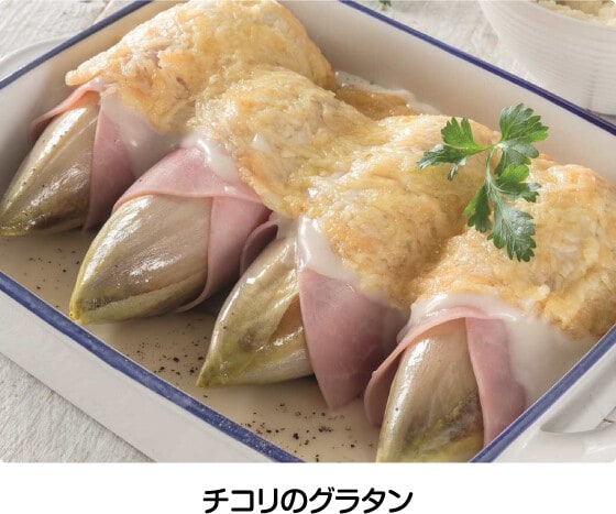 チコリのグラタン