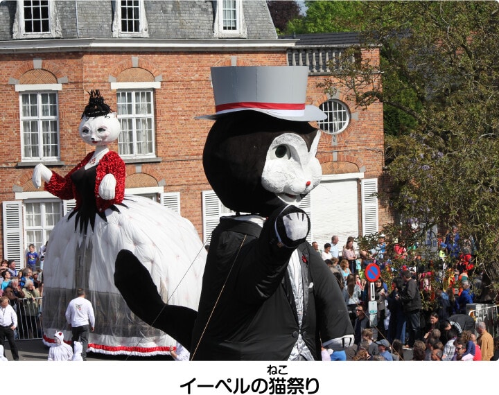 イーペルの猫祭り