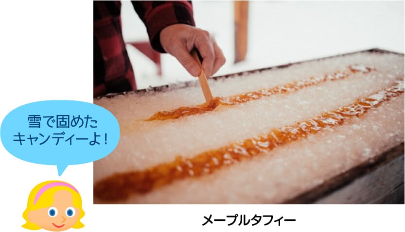 メープルタフィー