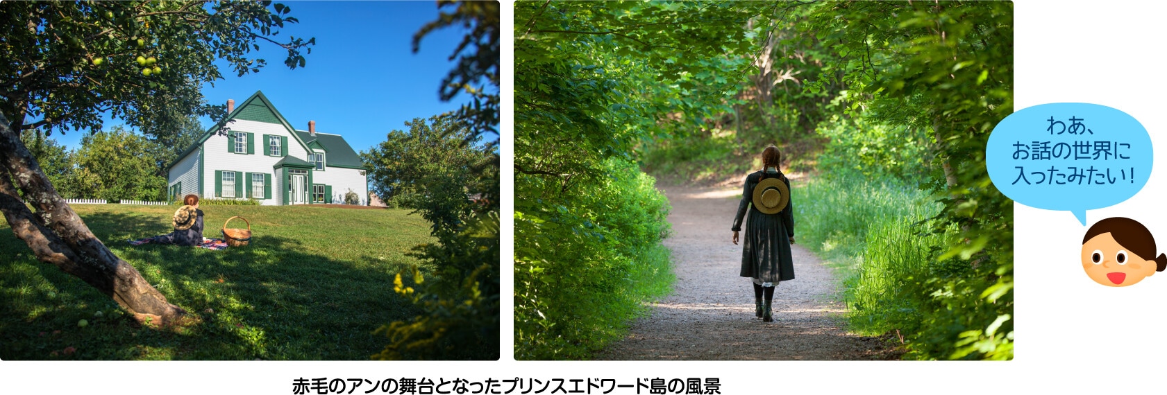 赤毛のアンの舞台となったプリンスエドワード島の風景 わあ、お話の世界に入ったみたい！