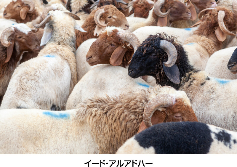 イード・アルアドハー