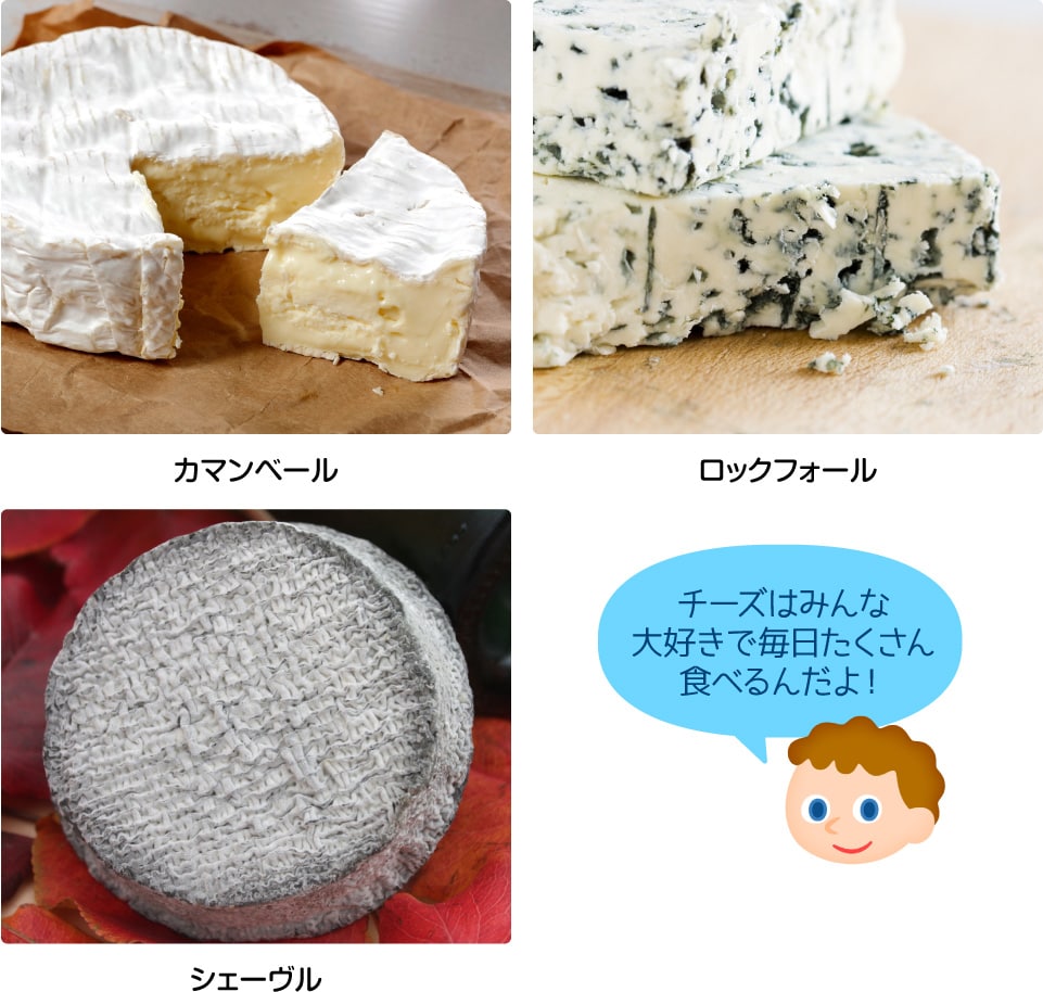 カマンベール/ロックフォール/シェーヴル「チーズはみんな大好きで毎日たくさん食べるんだよ!」