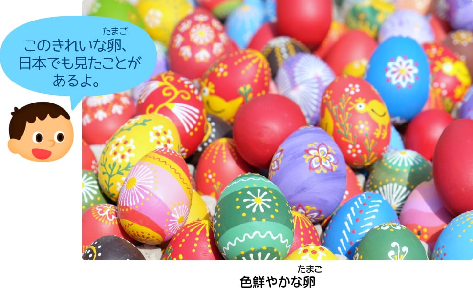 色鮮やかな卵「このきれいな卵、日本でも見たことがあるよ。」