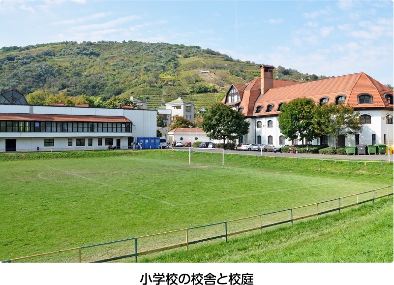 小学校の校舎と校庭