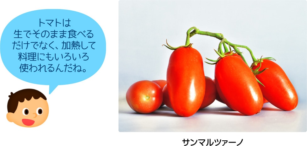サンマルツァーノ「トマトは生でそのまま食べるだけでなく、加熱して料理にもいろいろ使われるんだね。」