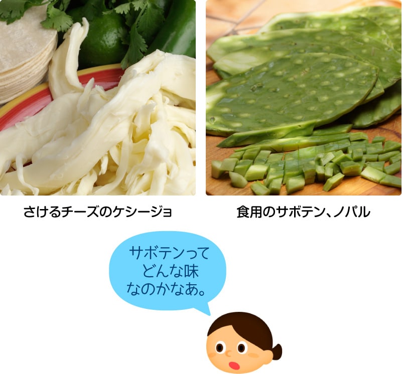 さけるチーズのケシージョ／食用のサボテン、ノパル／サボテンってどんな味なのかなあ。