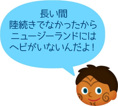 長い間陸続きでなかったからニュージーランドにはヘビがいないんだよ！