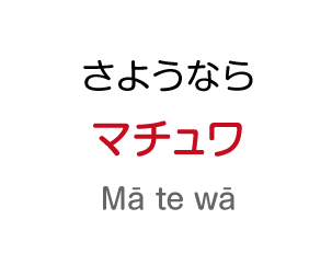 さようなら：マチュワ