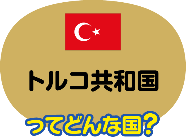 トルコ共和国ってどんな国？