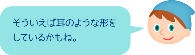 そういえば耳のような形をしているかもね。