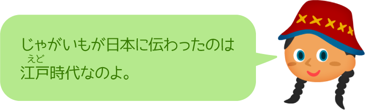 じゃがいもが日本に伝わったのは江戸時代なのよ。