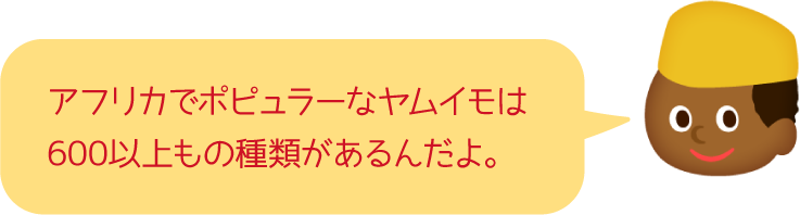 アフリカでポピュラーなヤムイモは600以上もの種類があるんだよ。