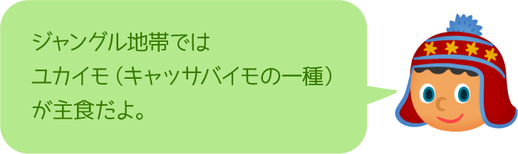 ジャングル地帯ではユカイモ（キャッサバイモの一種）が主食だよ。