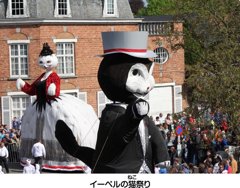 イーペルの猫祭り