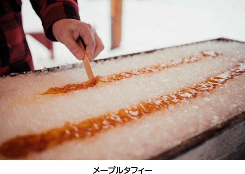 メープルタフィー