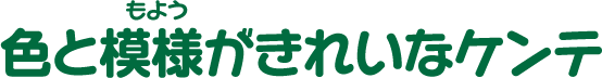 色と模様がきれいなケンテ