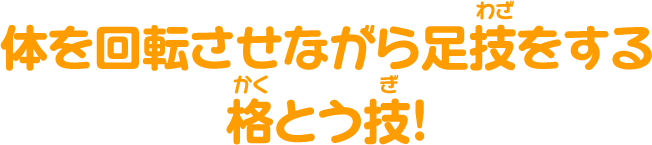 体を回転させながら足技をする格とう技！