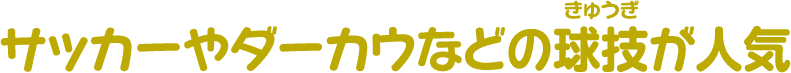 サッカーやダーカウなどの球技が人気