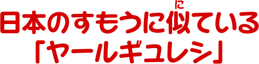 日本のすもうに似ている「ヤールギュレシ」