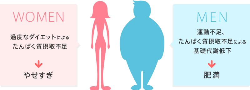 WOMEN 過度なダイエットによるたんぱく質摂取不足→やせすぎ MEN 運動不足、たんぱく質摂取不足による基礎代謝低下→肥満