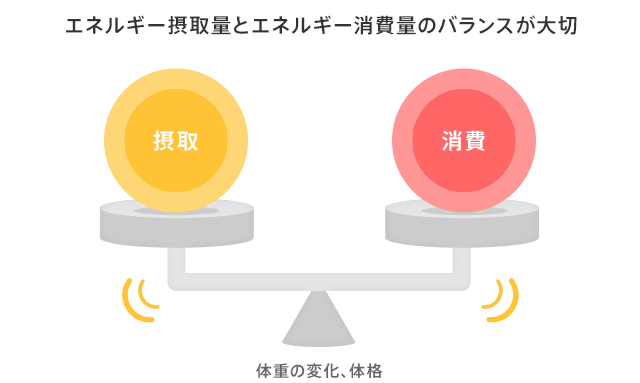 エネルギー摂取量とエネルギー消費量のバランスが大切 