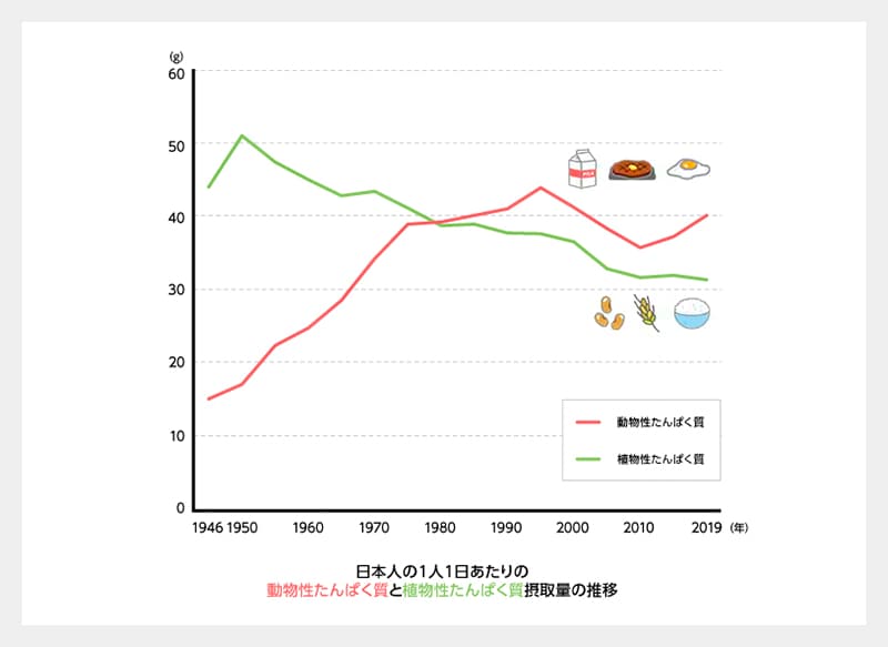 日本人の１人１日あたりの動物性たんぱく質と植物性たんぱく質摂取量の推移