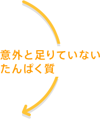 意外と足りていないたんぱく質