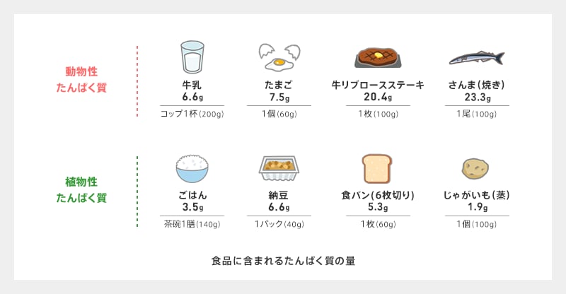 の 食べ物 タンパク質 良質なタンパク質とは？良質なタンパク質を含む食材とメニューを紹介