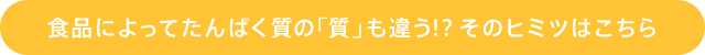 食品によってたんぱく質の「質」も違う！？そのヒミツはこちら