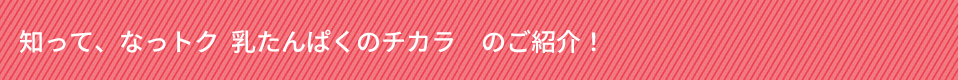 知って、なっトク　乳たんぱくのチカラ　のご紹介