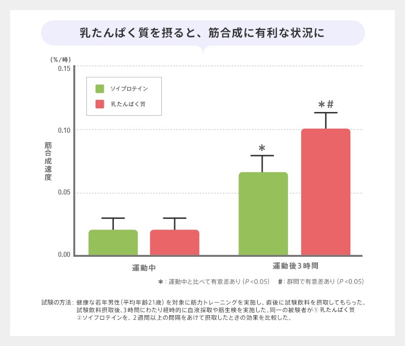 ミルクプロテインを摂ると、筋合成に有利な状況に