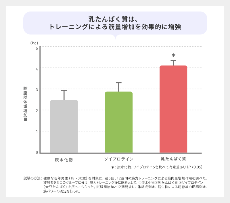 ミルクプロテインは、トレーニングによる筋量増加を効果的に増強